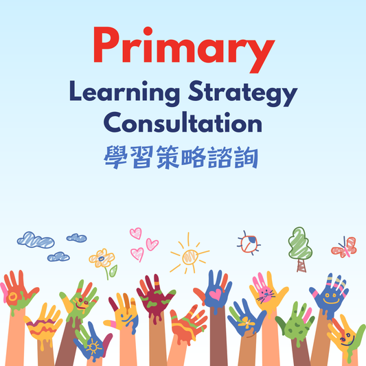 Primary Learning Strategy Consultation