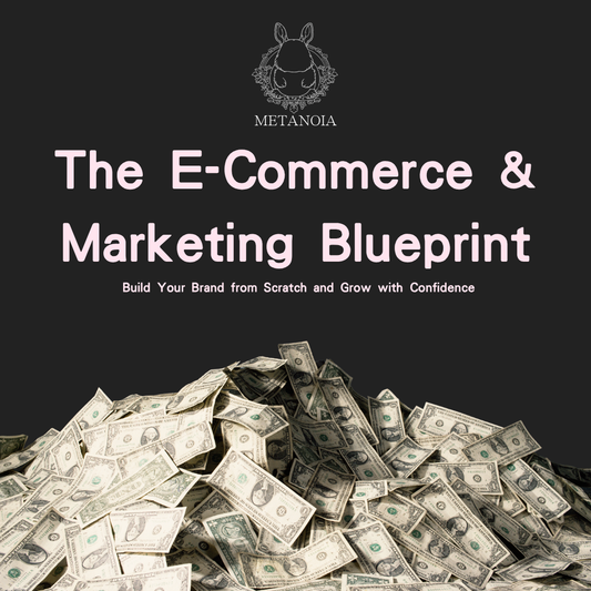 The E-Commerce & Marketing Blueprint: Build Your Brand from Scratch and Grow with Confidence
